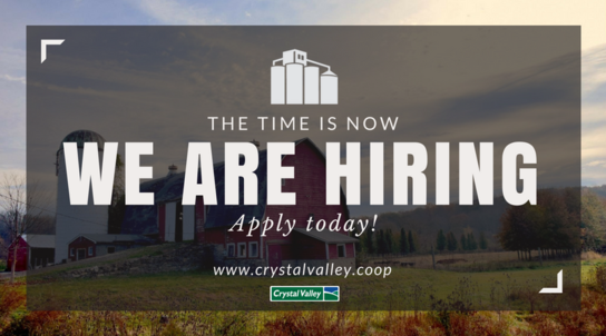 Now Hiring